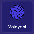 Voleybol.