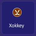 Xokkey.